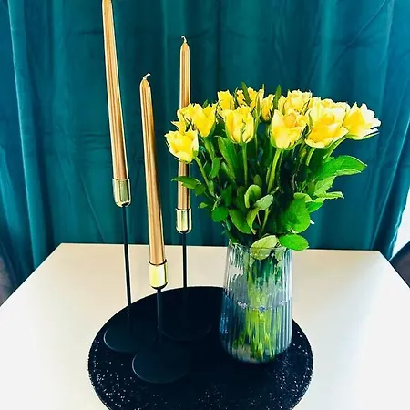 Uroczy Apartament Blisko Centrum Warszawy